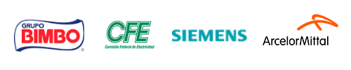 bimbo cfe simens