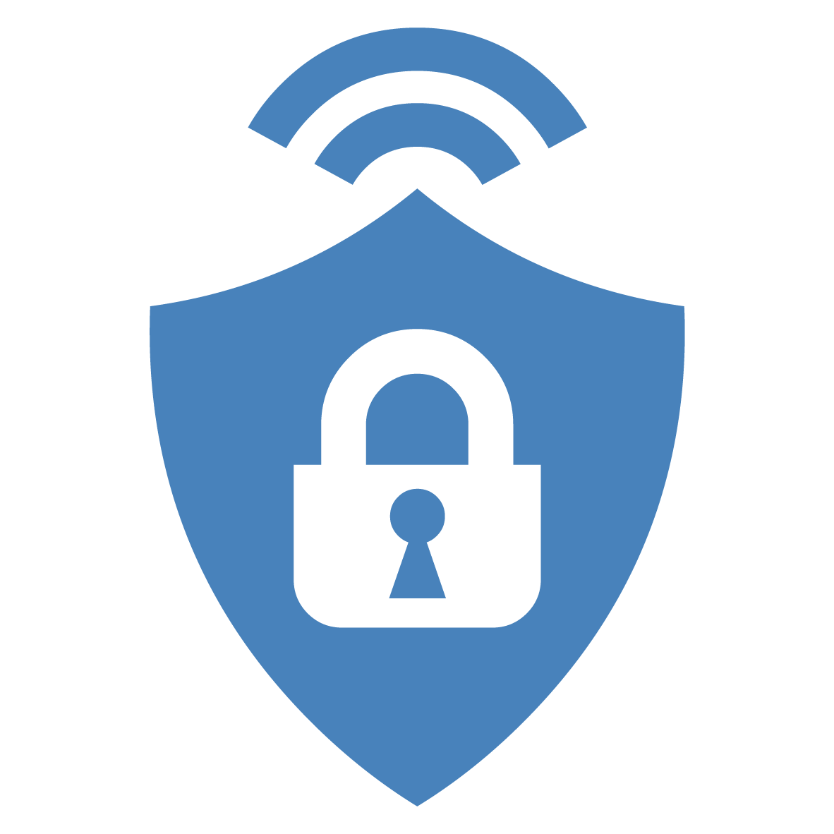 seguridad funcional